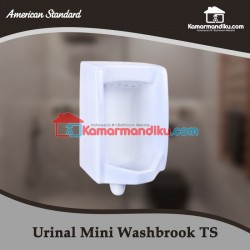 NEW !! American Standard Urinal Mini Washbrook TS Complete Set
