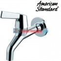 American standard my winston wall tap-Lever
