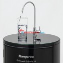 Kangaroo Water Purifier Hydrogen KG100HC 10 Stage